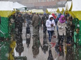В Киеве на морозе проведут с/х ярмарки