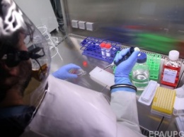 Второй случай заболевания лихорадкой Эбола зафиксировали в Сьерра-Леоне