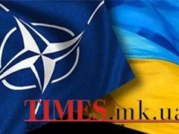 НАТО поделится с Украиной опытом стратегического планирования в области безопасности и обороны