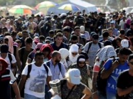 Швеция намерена выдворить из страны 80 тысяч мигрантов