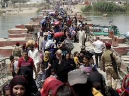 СМИ: Ираку необходимы 1,56 млрд долларов для борьбы с гуманитарным кризисом