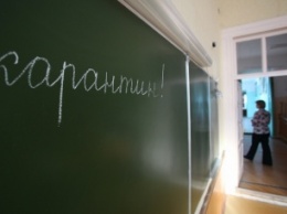 В школах Кривого Рога продлили карантин до 14 февраля