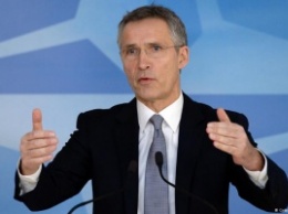 ЕС и НАТО объединят усилия в борьбе с кибертерроризмом