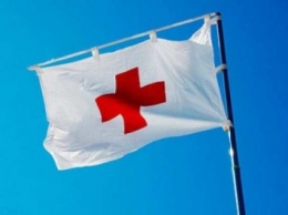ГПСУ: На оккупированный Донбасс доставлено более 200 т гумпомощи от Красного Креста