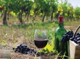 Одесских виноделов загоняют в подполье