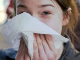 На Днепропетровщине 115 подтвержденных случаев заболевания «свиным» гриппом