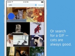 Twitter запускает поиск по анимированным GIF-изображениям