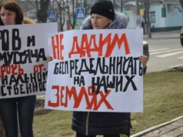 «Гаспаров! Где ты был, когда нас грабили»: жители Коларово просят защиты от вымогательств местного предпринимателя