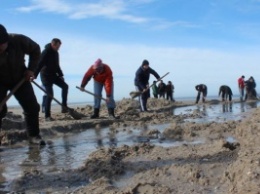 В Одесской области экоактивисты вручную соединили лиман с морем