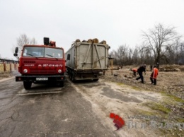 В Запорожье рядом с VIP-жильем рубят лес