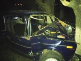 На Днепропетровщине «ВАЗ» врезался в дерево: спасатели «вырезали» водителя из авто