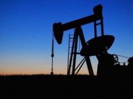Аналитик: цена барреля нефти в 2016 году составит $20-$49