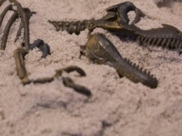 Ученые: В Аргентине найдены останки жителей Юрского периода