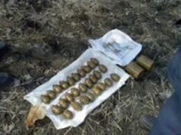 В Днепропетровской обл. СБУ в лесополосе обнаружила тайник с 27 гранатами