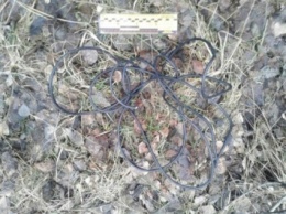 Пропавшего мужчину нашли мертвым в лесу в Ровенской области