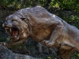 Ученые хотят клонировать львов времен Ледникового периода
