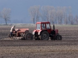 Николаевские аграрии уже засеяли 15% посевных площадей