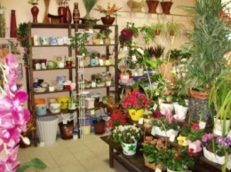 В Петербурге со стрельбой ограбили магазин цветов