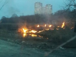 Под Киевом начался торфяной пожар (ФОТОФАКТ)