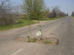Фискальная служба Украины считает, что М. Саакашвили провалил финансирование ремонта дорог