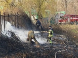 В Мариуполе огонь, спаливший камыши, чуть не подобрался к заправкам (Фотофакт)