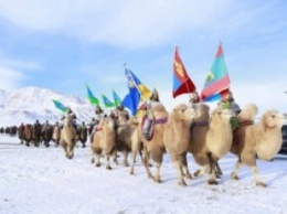 В Монголии установили мировой рекорд в забеге на верблюдах