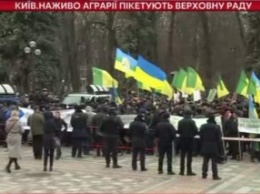 В Киеве под Верховной Радой на митинг собрались аграрии