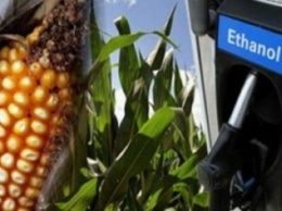 Кукуруза, пшеница, сахарная свекла, рис или картофель могут спасти водителей Красноармейска и Димитрова