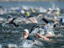 Впервые в Житомире пройдут соревнования по плаванию на открытой воде «Тетерев Open»