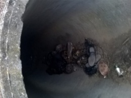 В Добропольском районе обнаружен труп в водосточной трубе