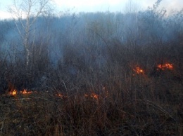 Новая угроза в Закарпатье: сезон бездумного сжигания травы открыт