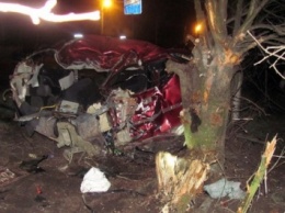 Автомобиль врезался в дерево в Хмельнийкой области, погибли два человека