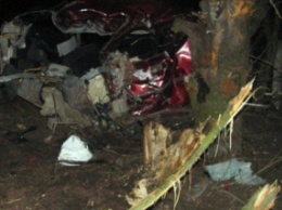 В Хмельницкой обл. автомобиль въехал в дерево, погибло двое человек