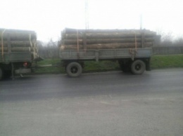 Грузовик с древесиной без документов задержали в Закарпатской области
