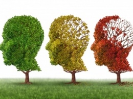 Куда деваются воспоминания при болезни Альцгеймера