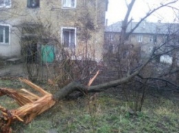 В Макеевке ранены два мирных жителя, разрушениям подверглись не менее 16 домов - уточненные данные