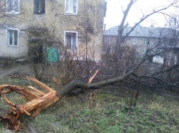 Обстрел Макеевки: 16 домов повреждено, есть пострадавшие (ФОТО)