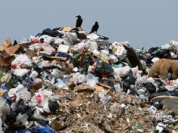 Николаевцы ликвидируют мусорные свалки с помощью Интернета