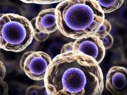 Ученые расшифровали начальные изменения в стволовых клетках