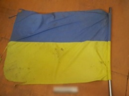 Жителя Черниговской области, сорвавшего и выбросившего на свалку флаг Украины, отправили в психушку