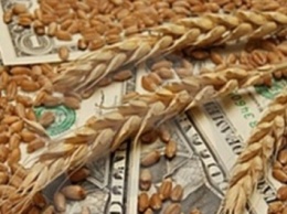 Украина экспортирует преимущественно агропродукцию с низкой степенью переработки - эксперт
