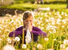 Где лечить весеннюю аллергию: советы главного аллерголога Днепра