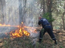 Под Славянском спасатели будут тушить лес