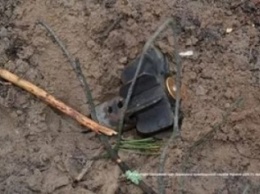 В Попаснянском районе фермер на поле нашел минометные снаряды