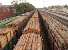 На границе в Закарпатье стоит 173 вагона с лесом: Москаля атакуют со всех сторон (ВИДЕО)