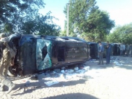 Житомирская область: «черные копатели» янтаря стреляют в селян, есть раненые
