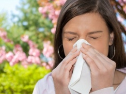 Бактерии, попадающие в окружающую среду при чихании, находятся на оболочке носа