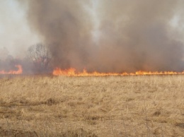 В Запорожской области объявили пожароопасный период