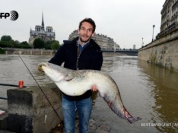 В Париже небывалое наводнение: местные жители ловят рыбу на центральных улицах (фото)