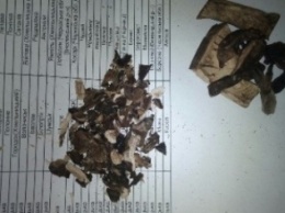 В Луганской области два наркодилера отправляли через почту клиентам галлюциногенные грибы и марихуану (ФОТО)